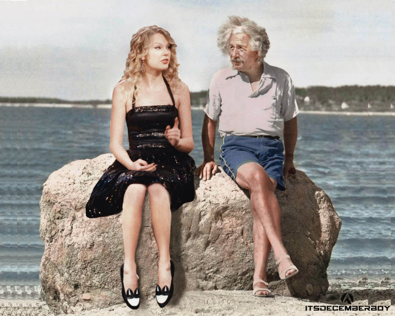 Albert Einstein & Taylor swift 